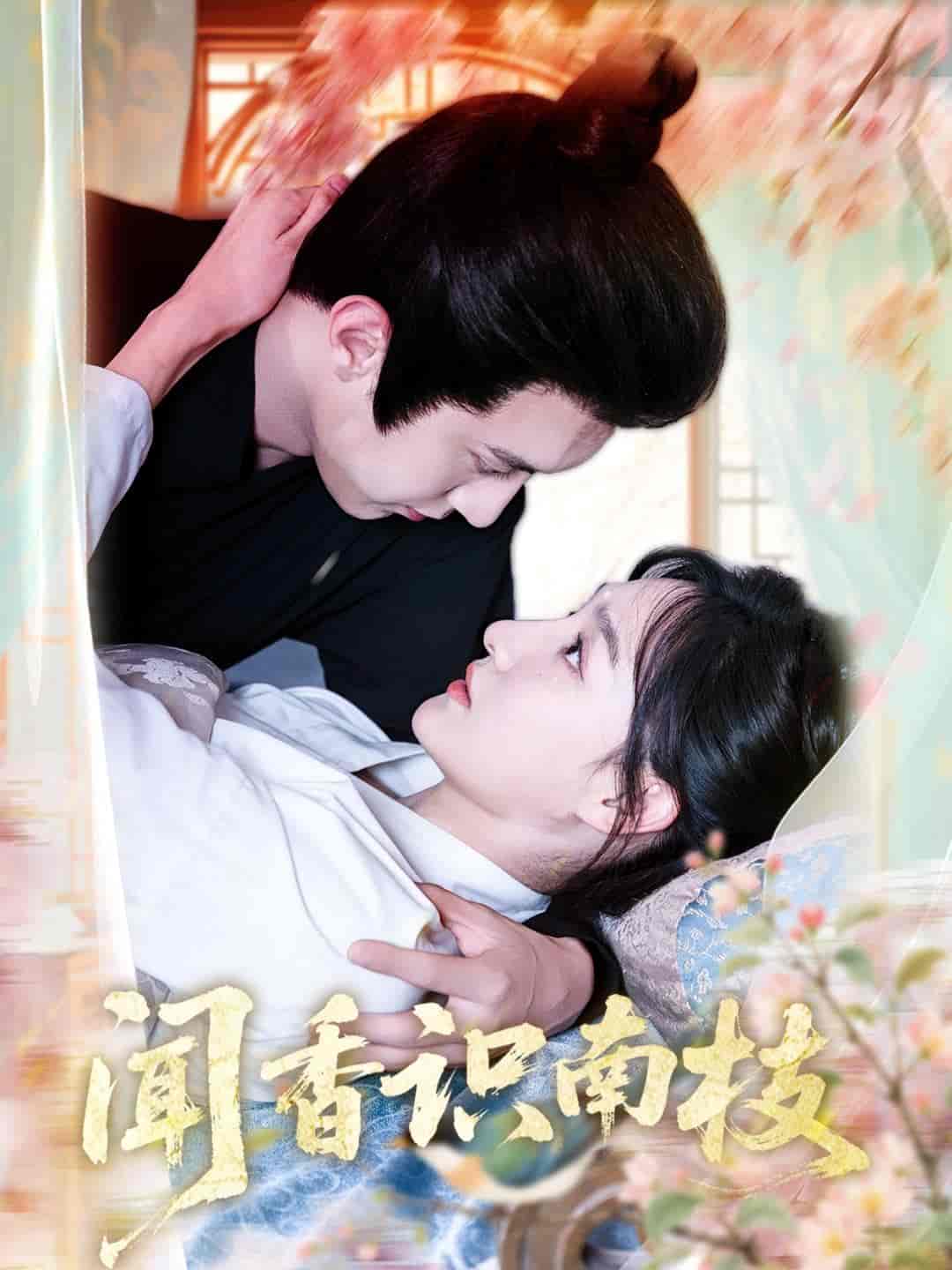闻香识南枝 - 短剧短剧海报图片