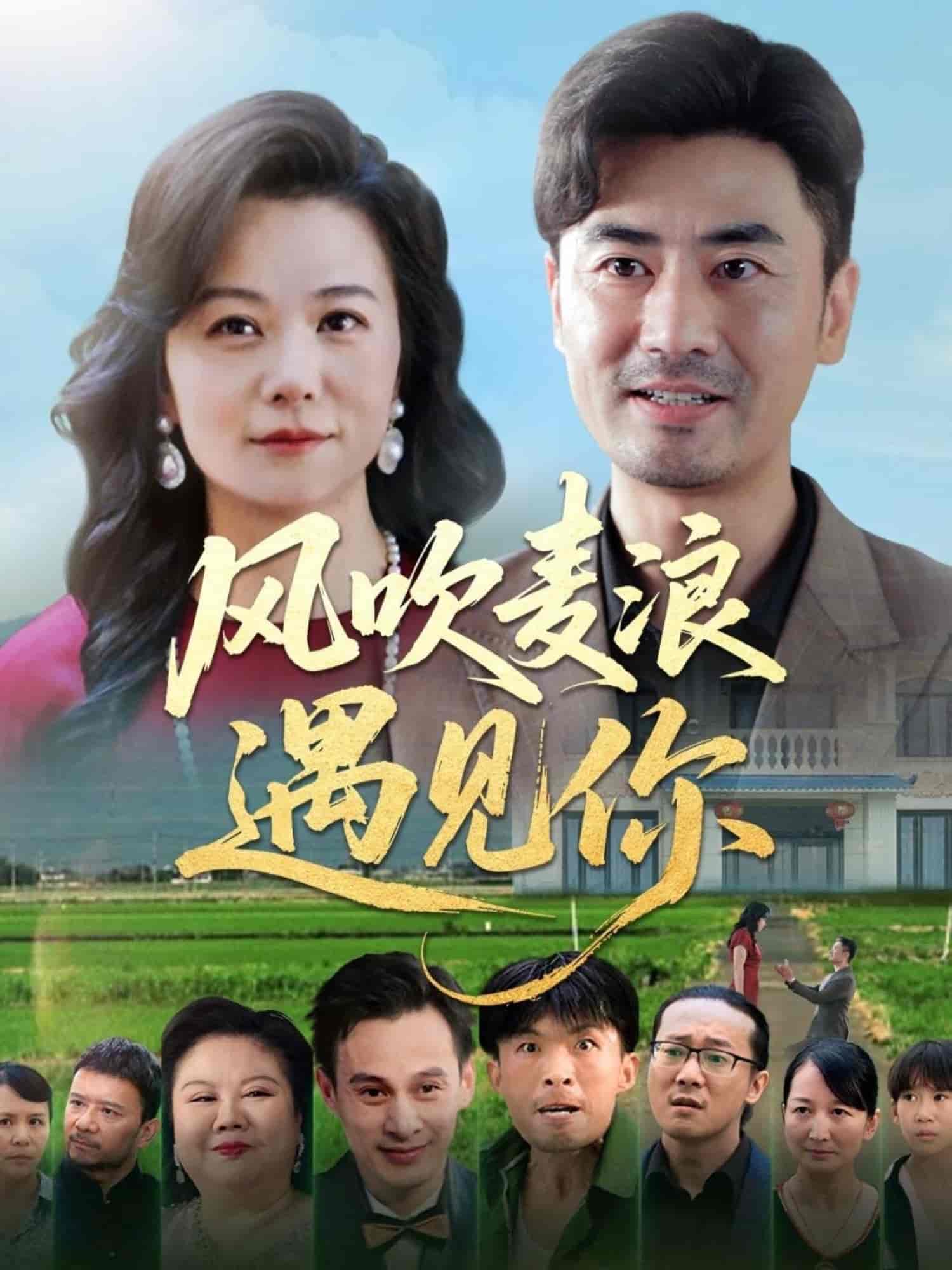 风吹麦浪遇见你 - 短剧短剧海报图片
