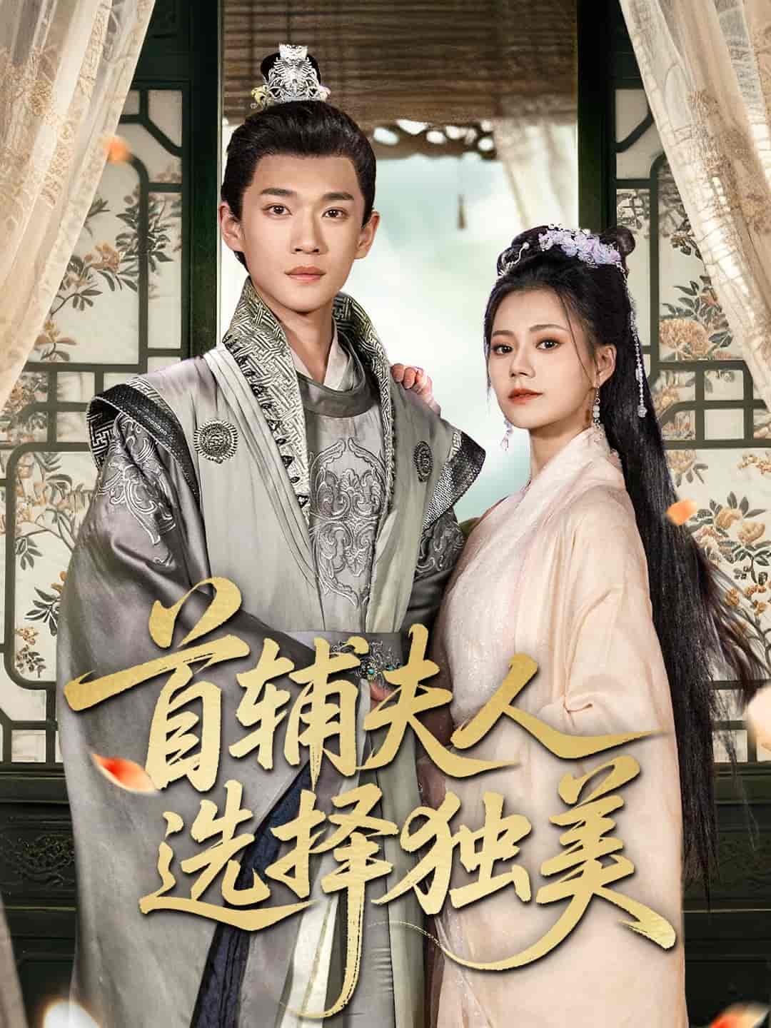 首辅夫人选择独美 - 短剧短剧海报图片