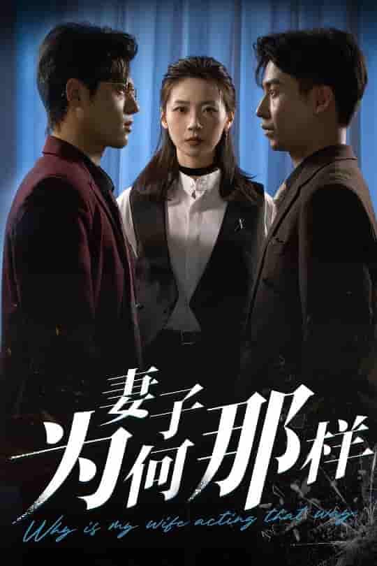 妻子为何那样剧照