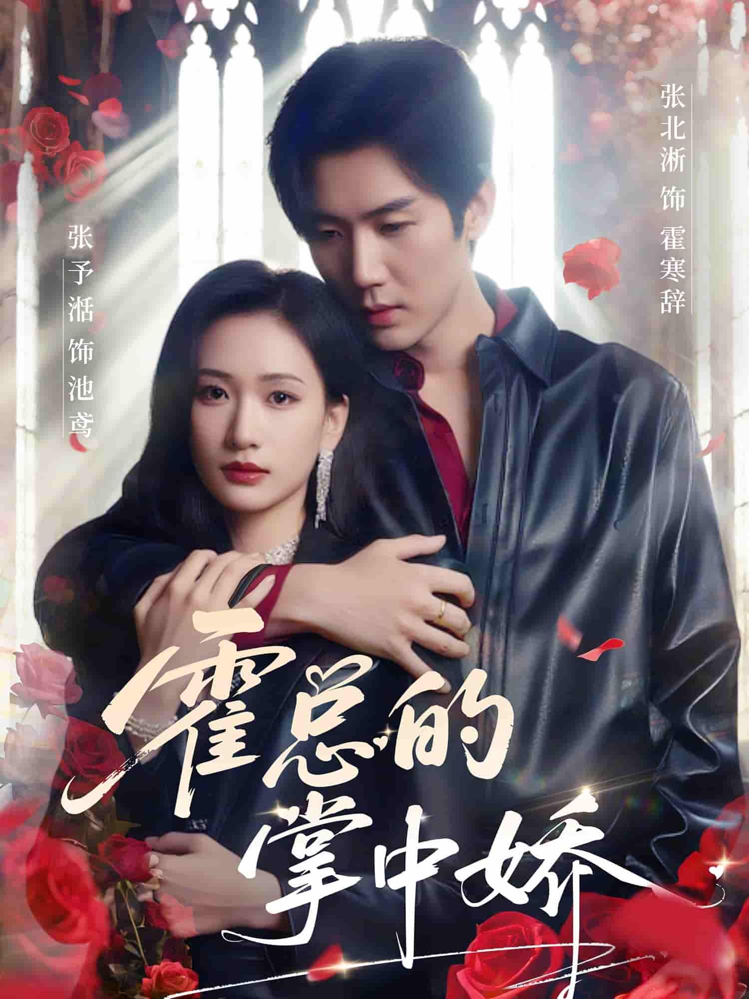 霍总的掌中娇剧照