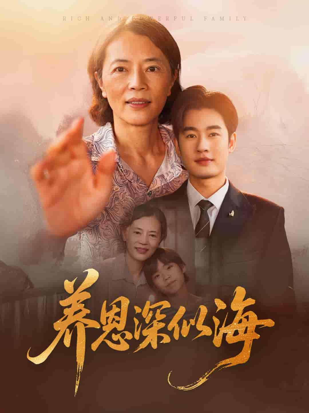 养恩深似海 - 短剧短剧海报图片