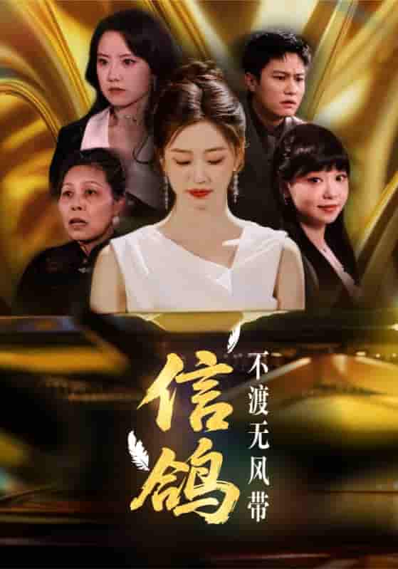 信鸽不渡无风带 - 短剧短剧海报图片