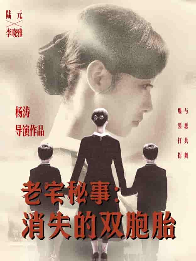 老宅秘事消失的双胞胎&消失的孩子剧照