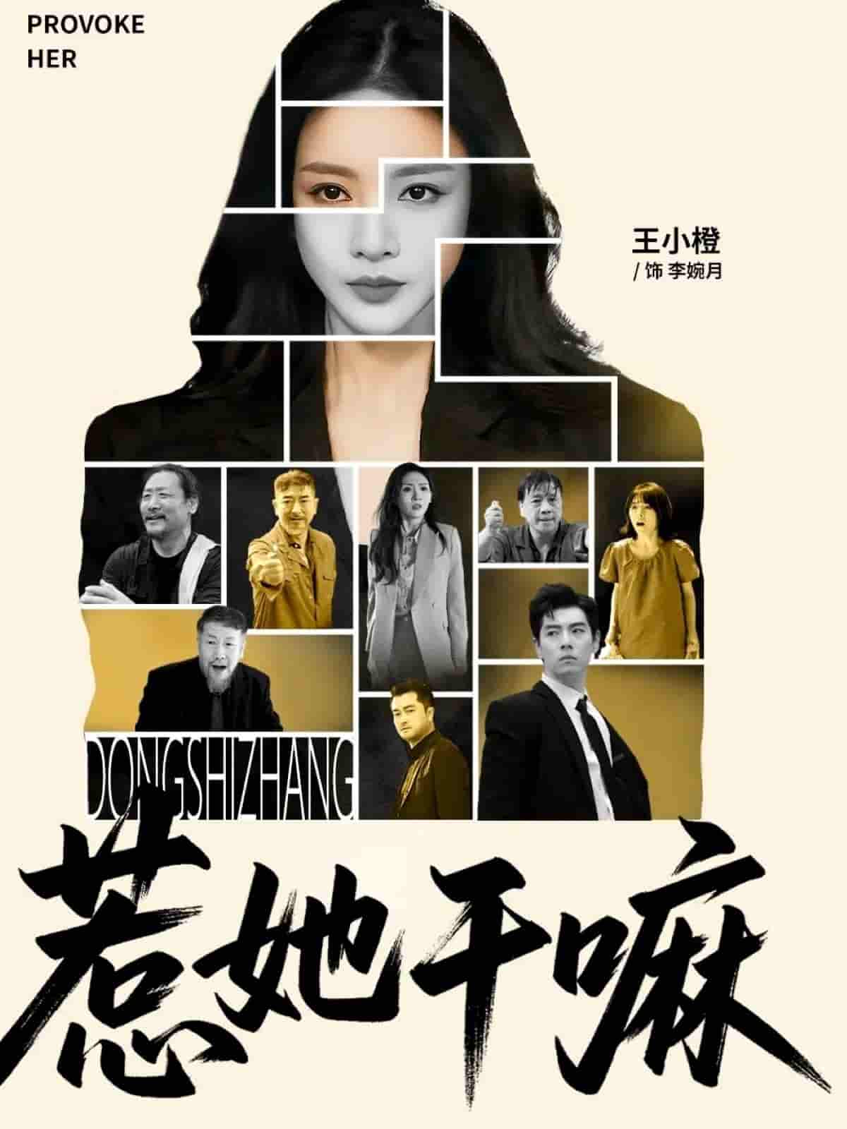 惹她干嘛 - 短剧短剧海报图片