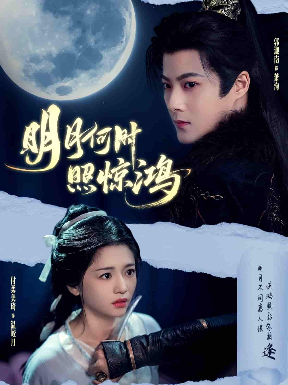 明月何时照惊鸿 - 短剧短剧海报