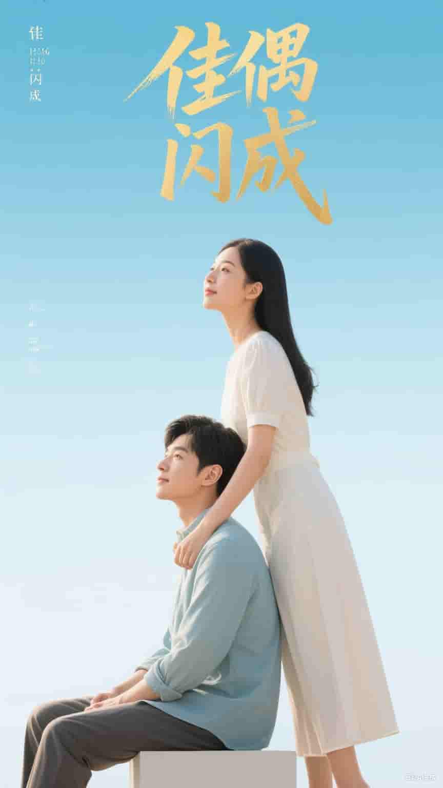 佳偶闪成&假婚真爱 - 短剧短剧海报