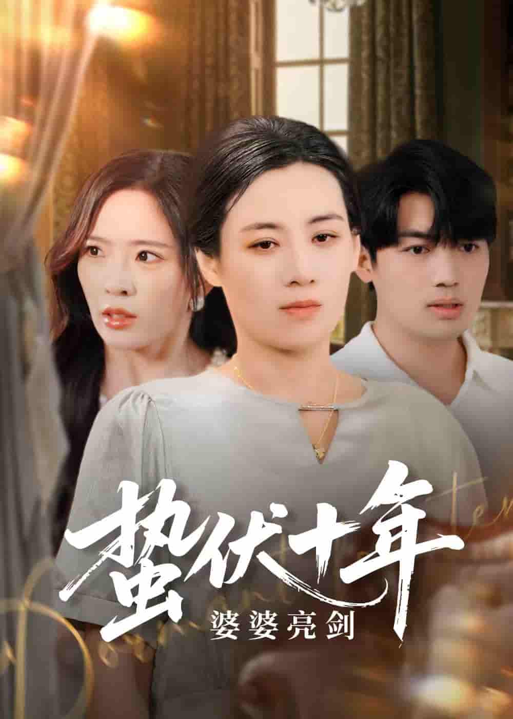 蛰伏十年婆婆亮剑 - 短剧短剧海报