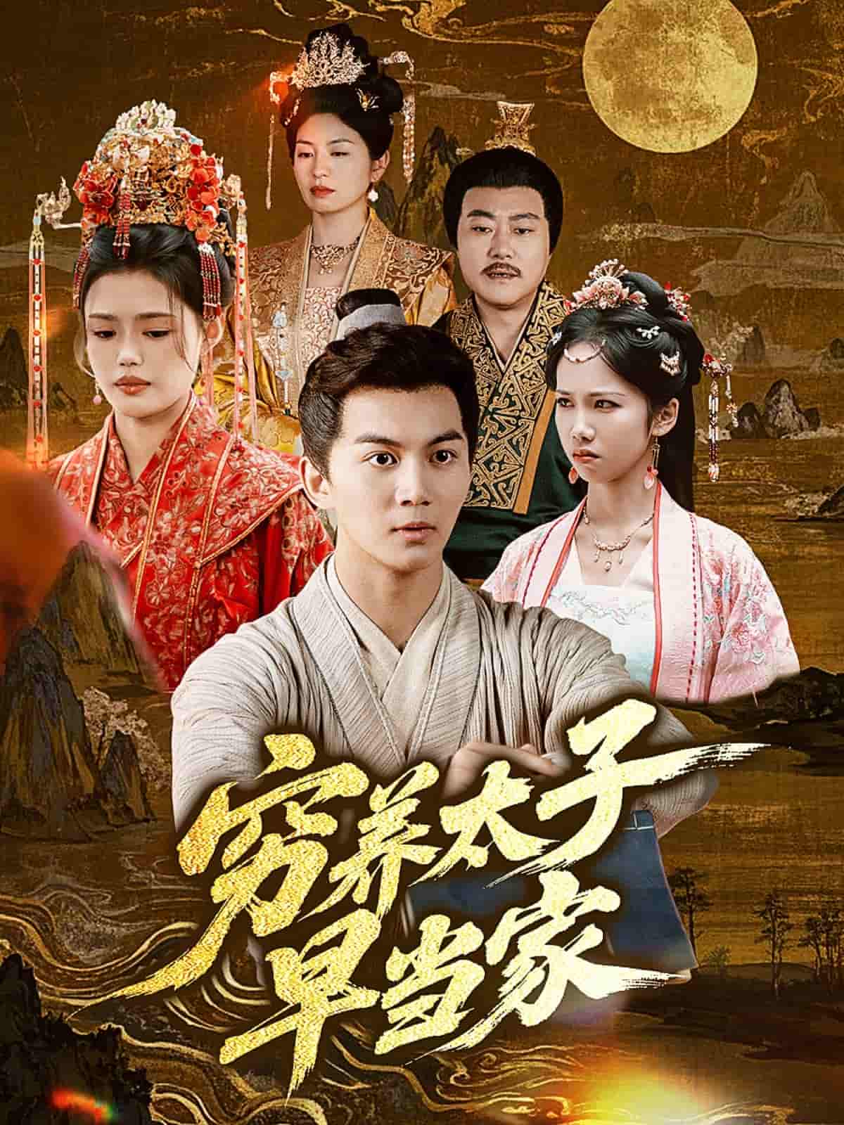 穷养太子早当家剧照