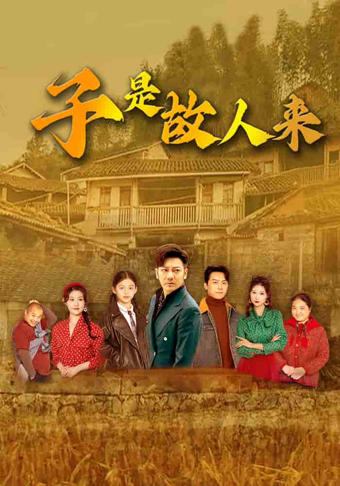 子是故人来 - 短剧短剧海报图片