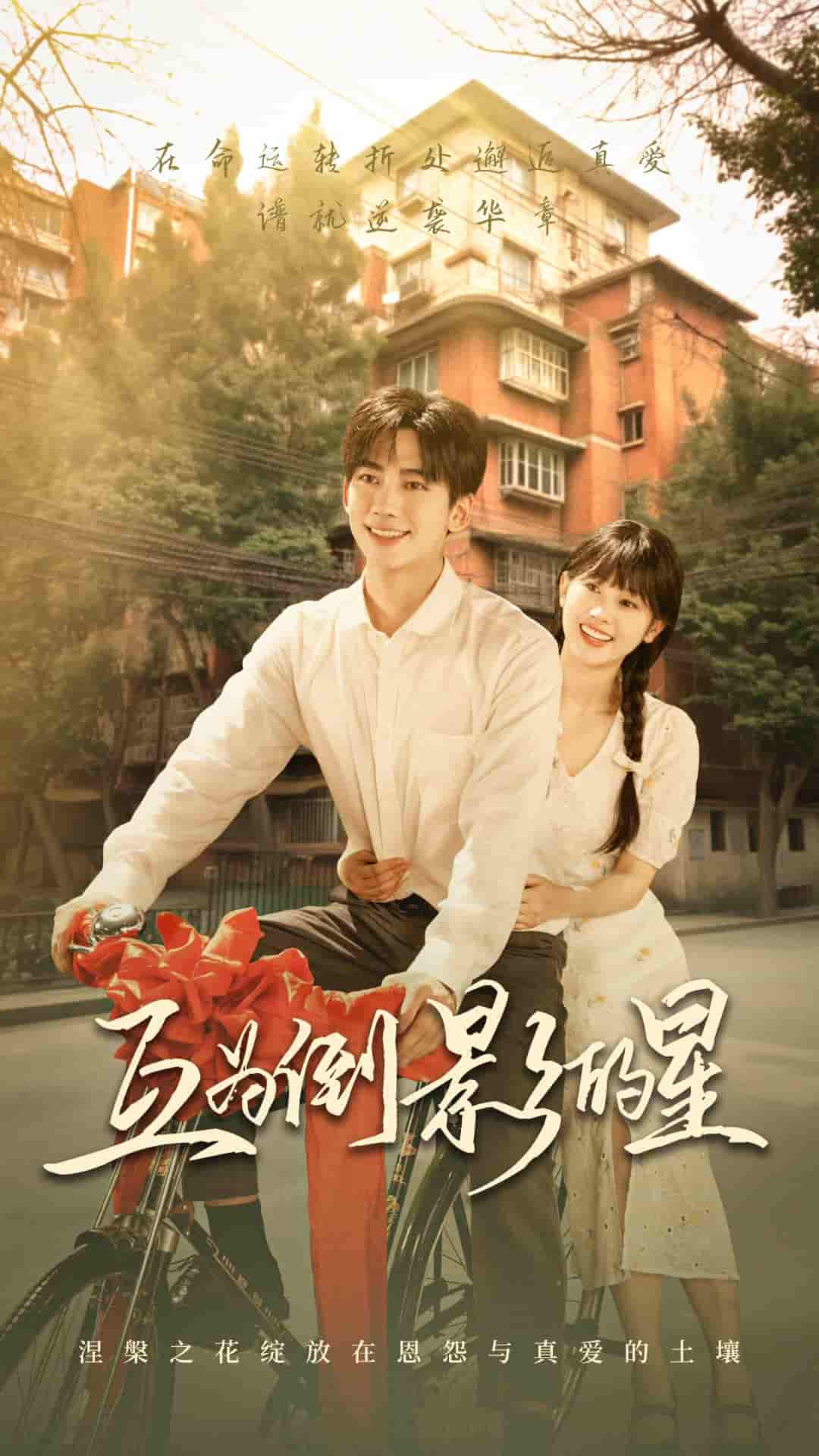 互为倒影的星 - 短剧短剧海报图片