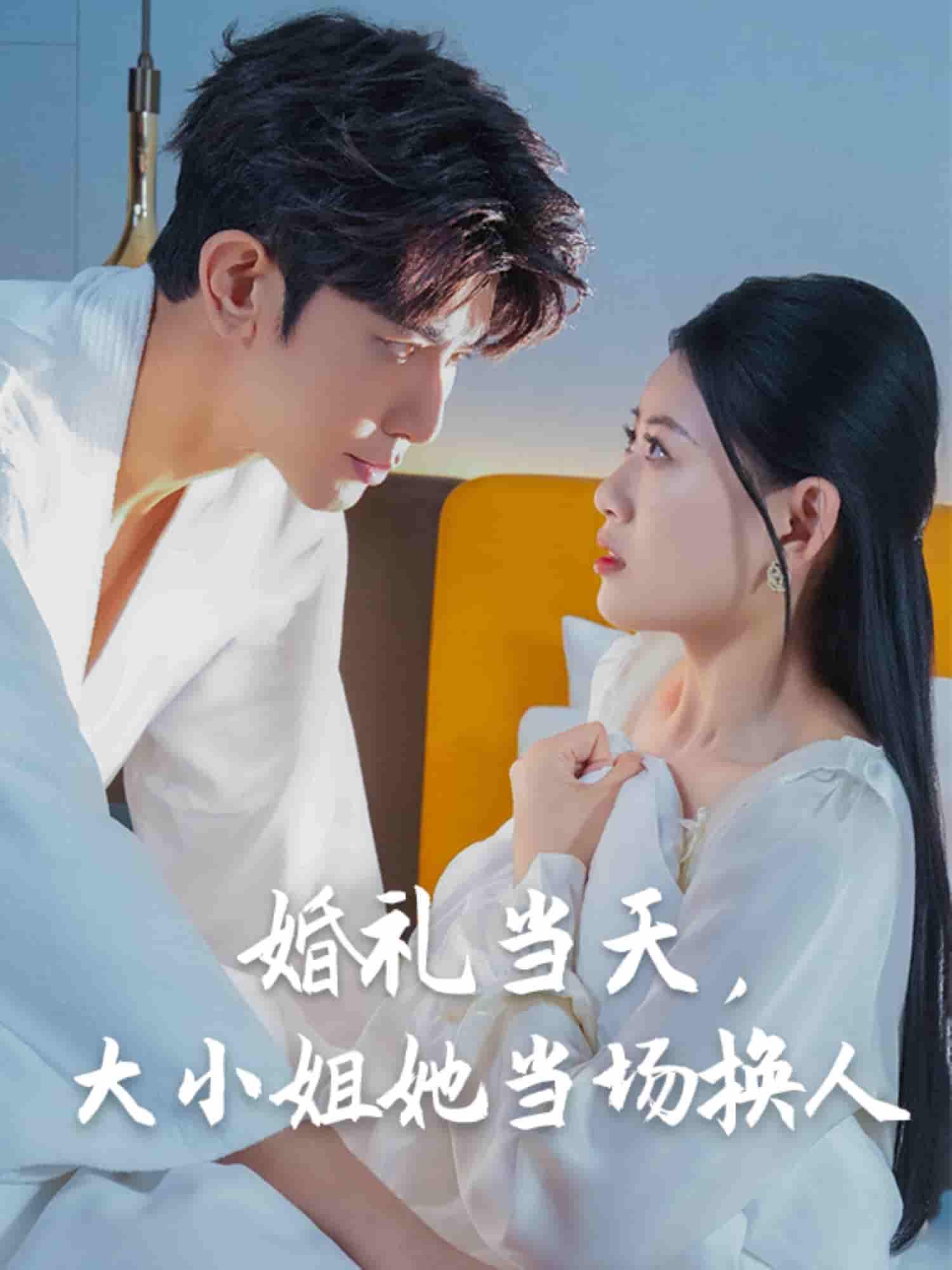 婚礼当天，大小姐她当场换人 - 短剧短剧海报图片