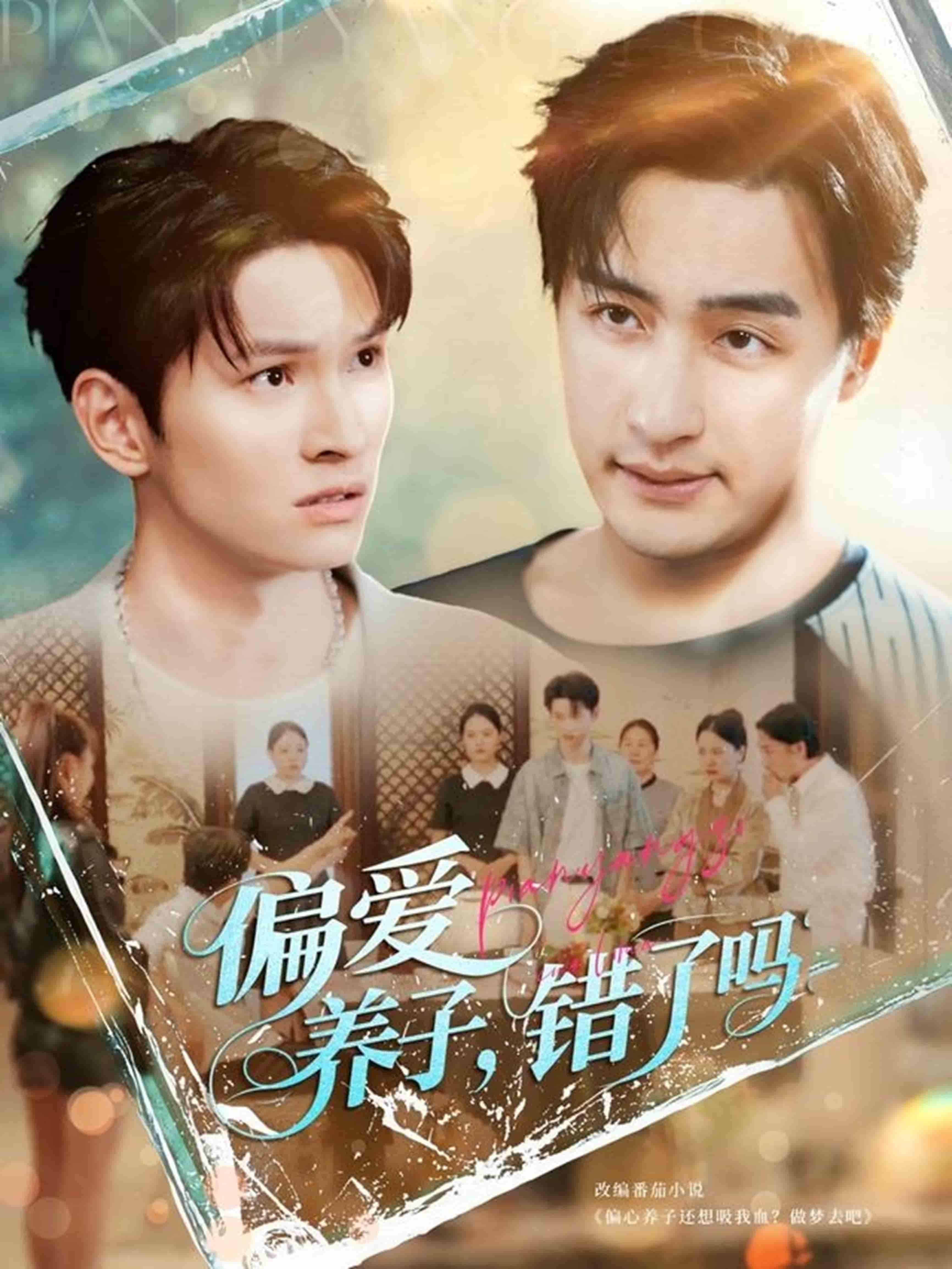 偏爱养子，错了吗剧照
