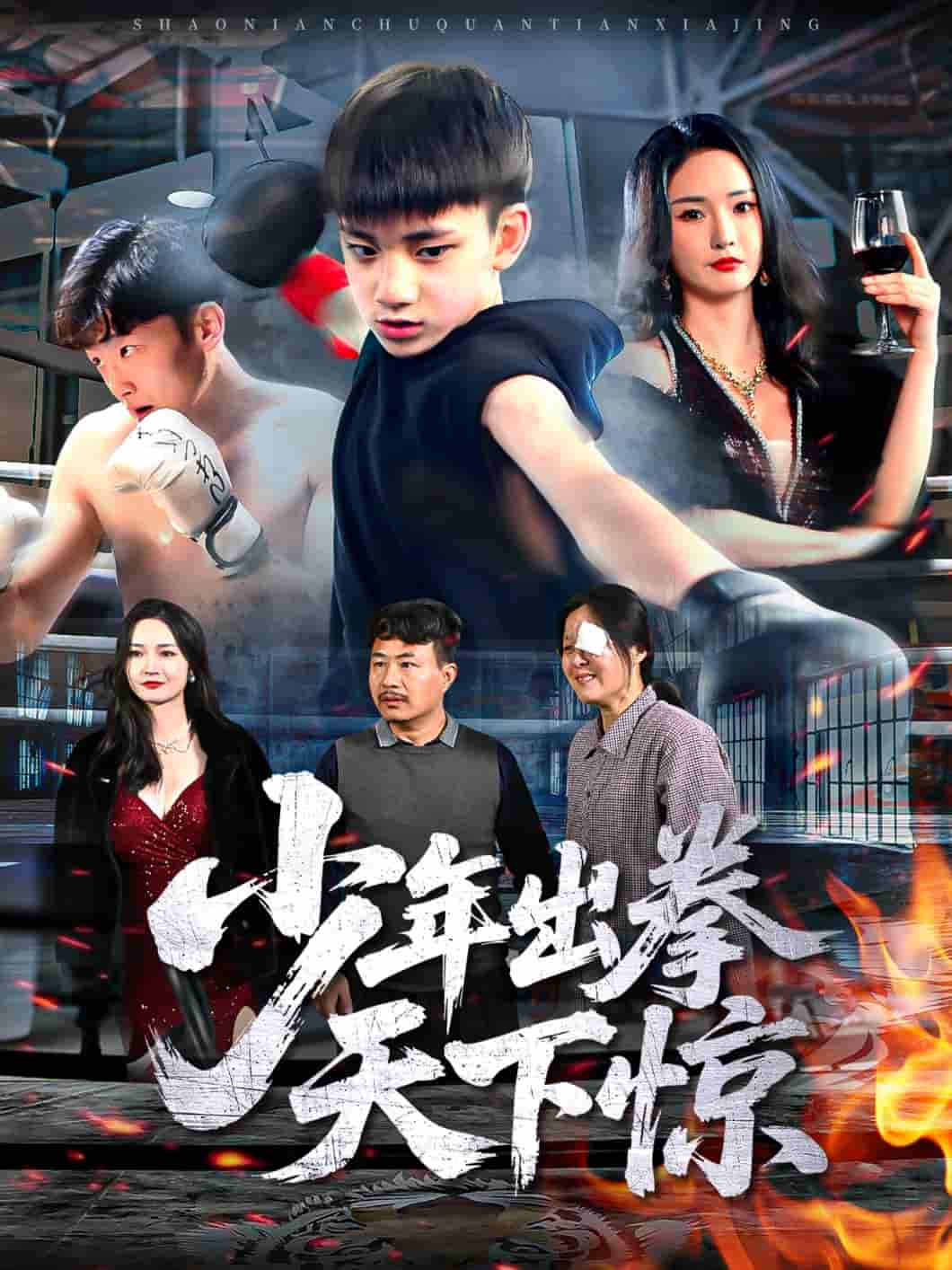 少年出拳天下惊 - 短剧短剧海报图片