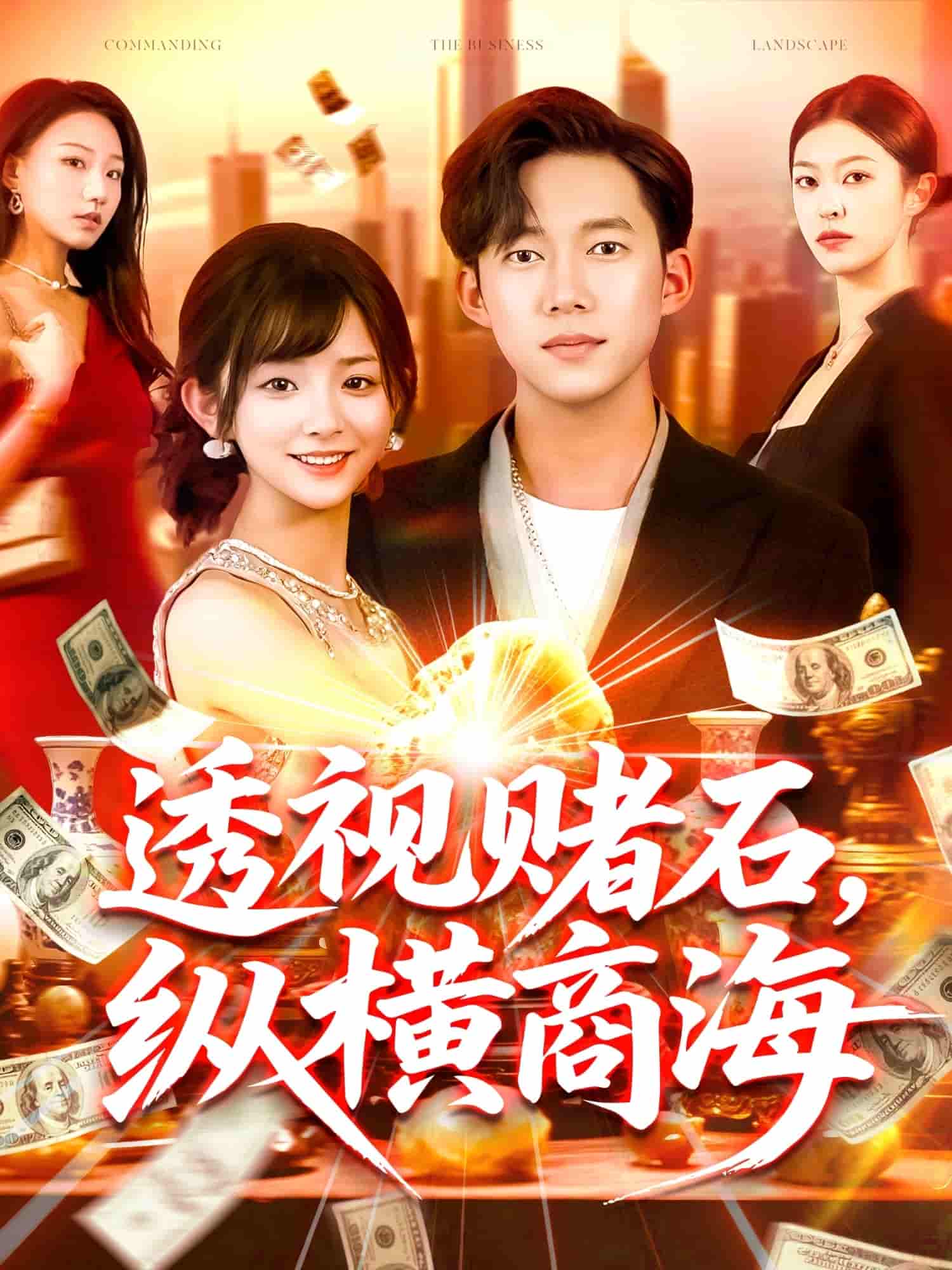 透视赌石,纵横商海剧照