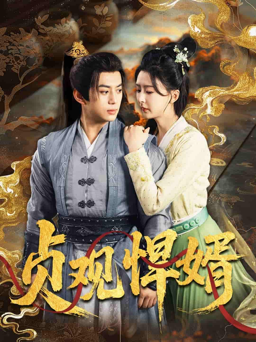 贞观悍婿剧照