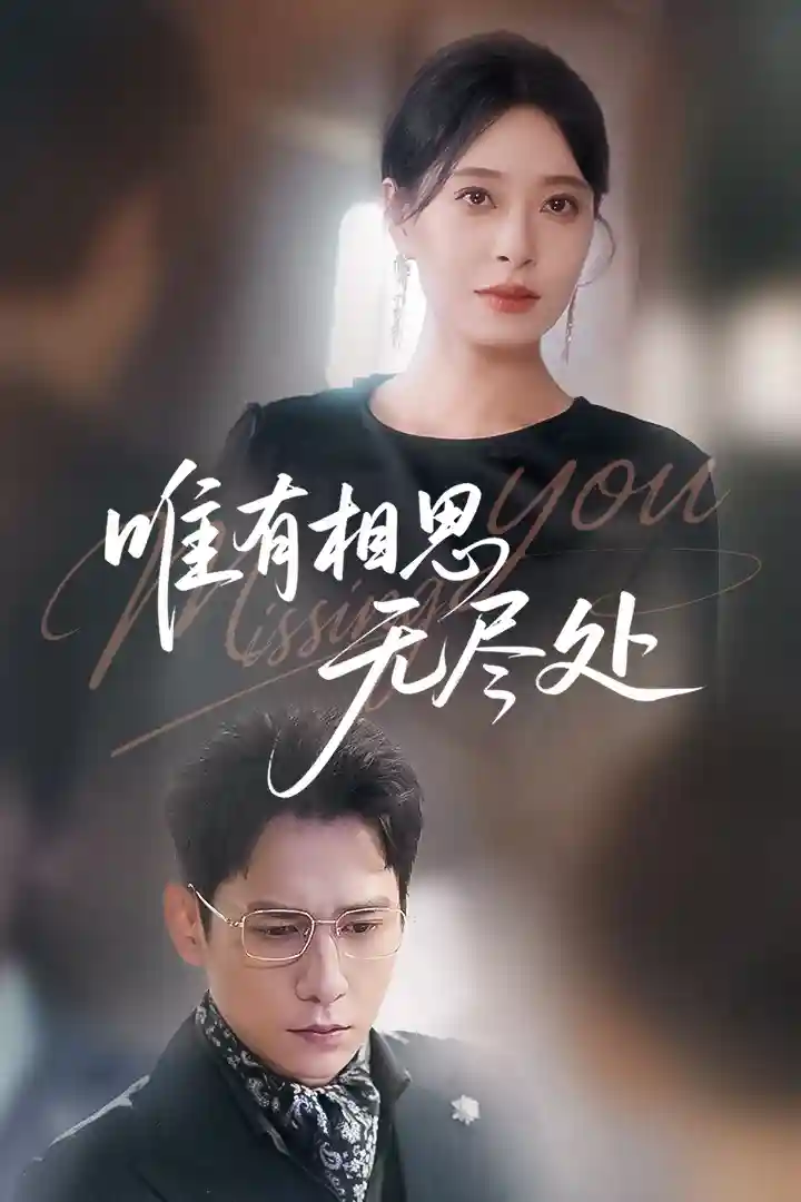 唯有相思无尽处剧照