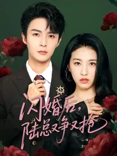 闪婚后陆总又争又抢 - 短剧短剧海报