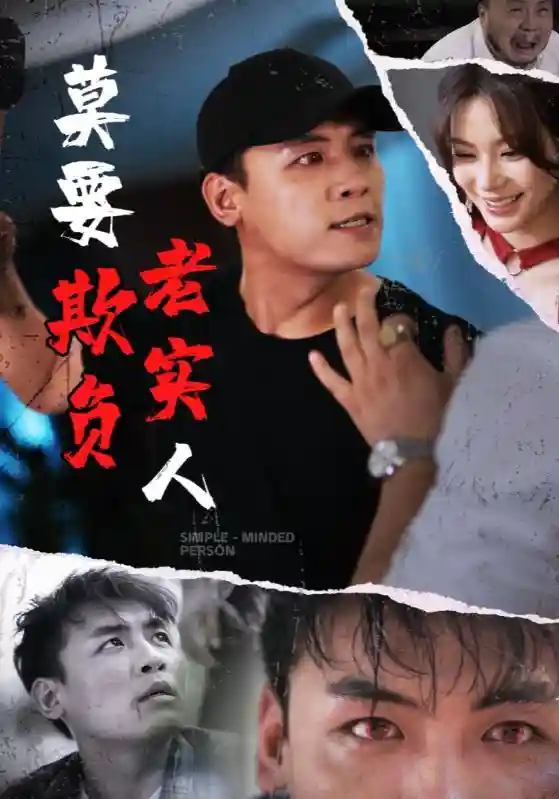 莫要欺负老实人剧照