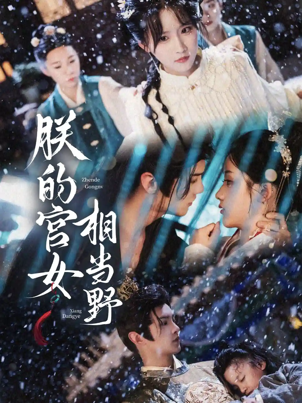 朕的宫女相当野 - 短剧短剧海报