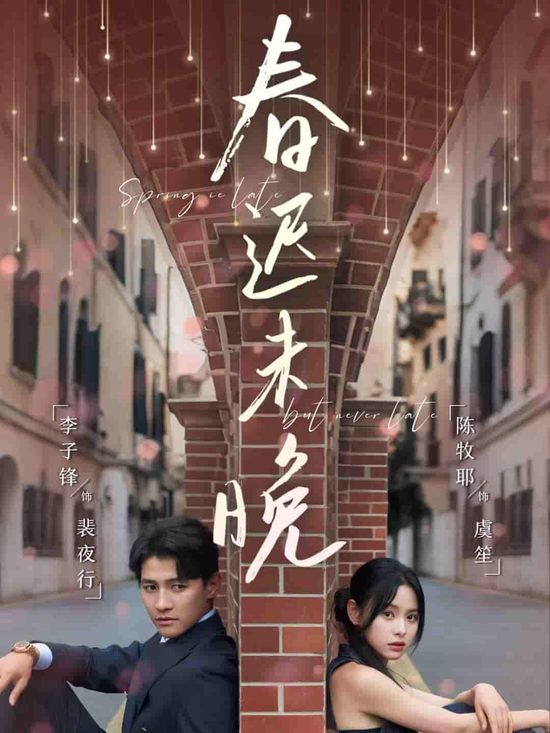 春迟未晚 - 短剧短剧海报