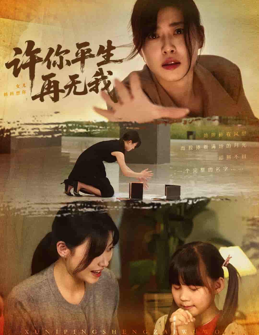 许你平生再无我 - 短剧短剧海报