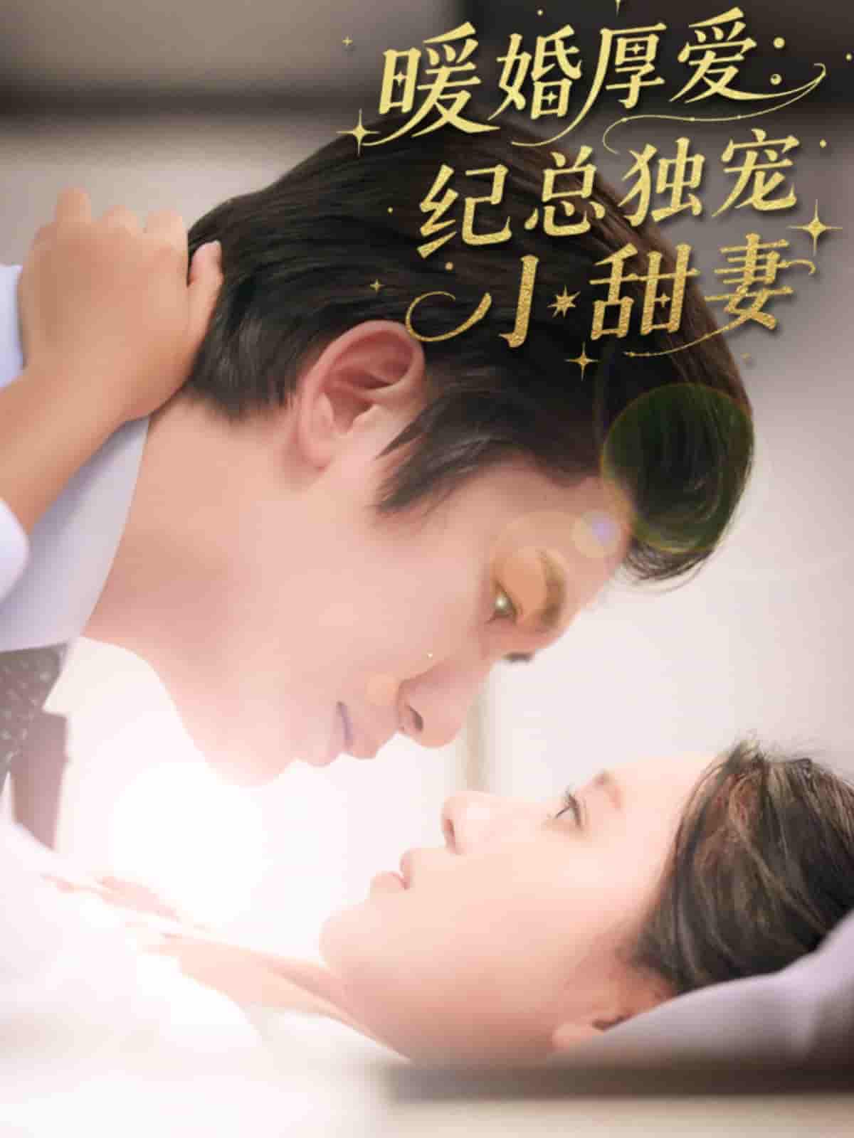 暖婚厚爱纪总独宠小甜妻 - 短剧短剧海报图片