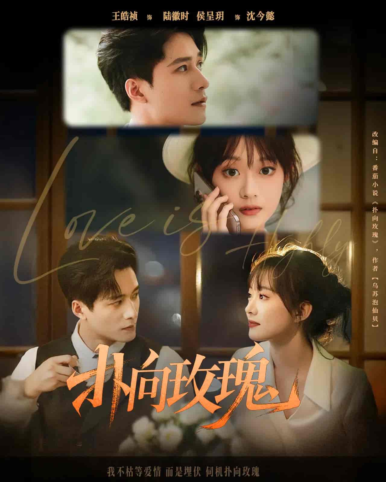 扑向玫瑰
