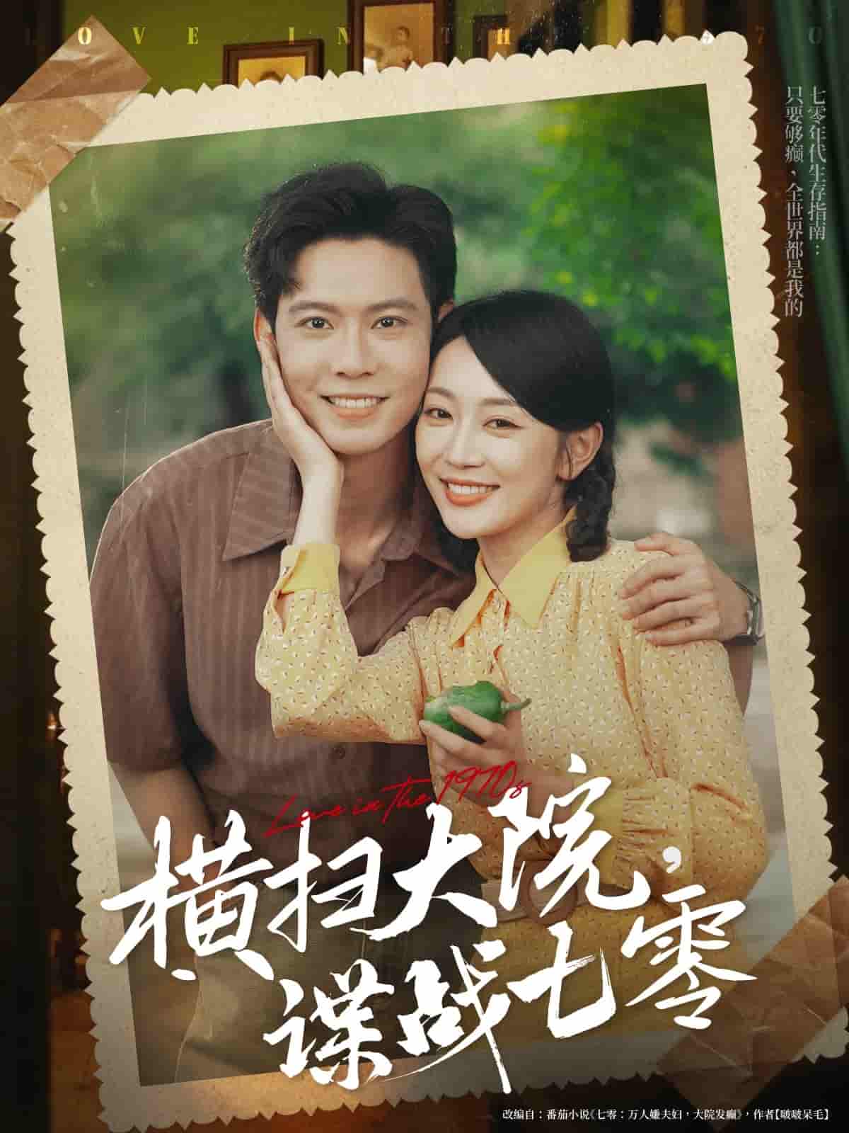 横扫大院谍战七零剧照