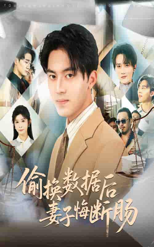 偷换数据后妻子悔断肠 - 短剧短剧海报